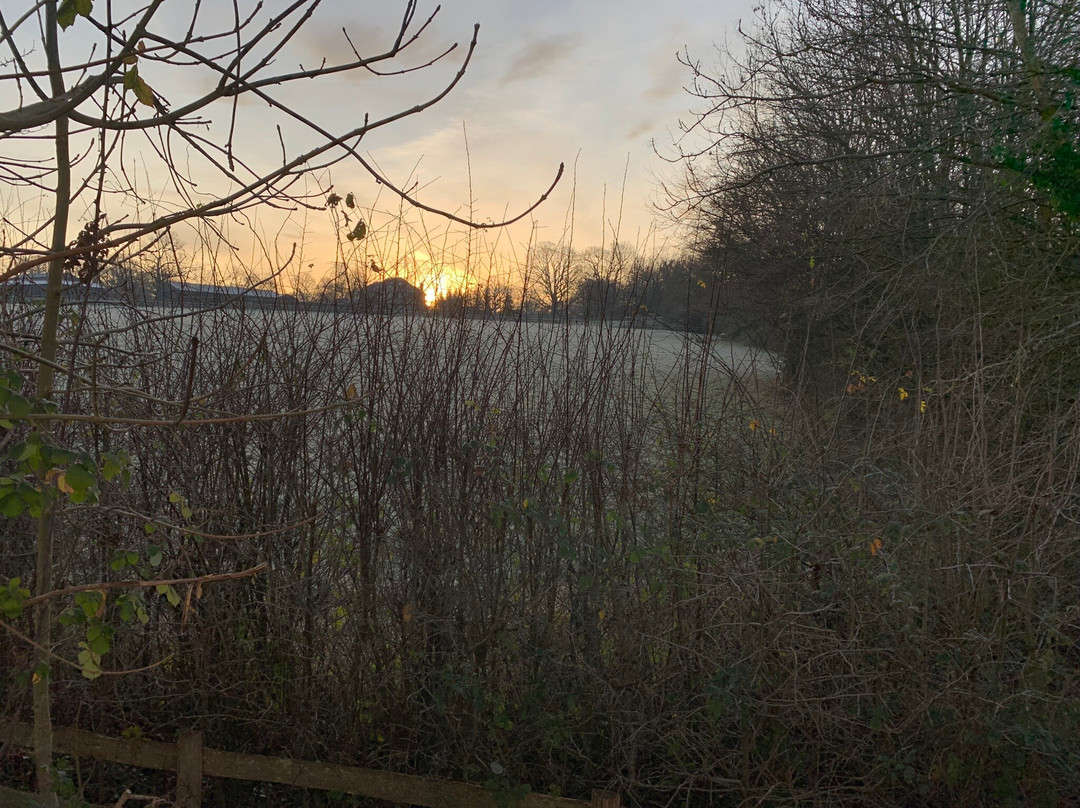 Four Elms酒店住宿-The Greyhound at Hever