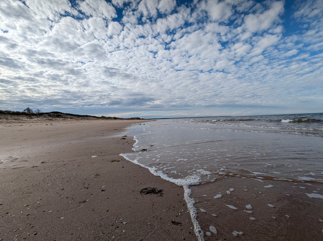 Brackley Beach-Brackley Beach必去景点