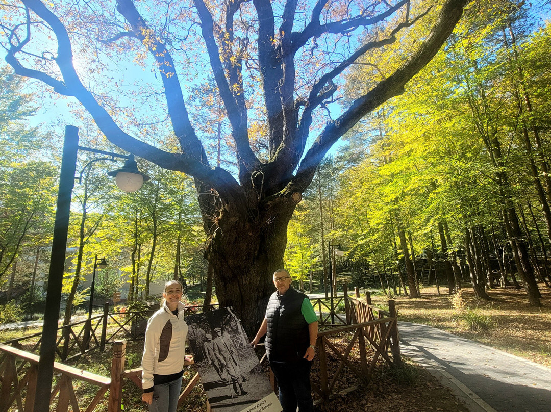 Bolu Koru Hotels Spa & Convention主图