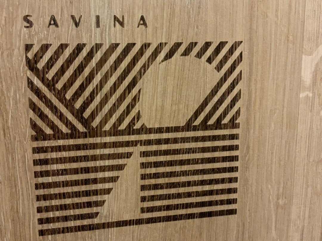 Savina Winery-赫尔采格诺维必去景点