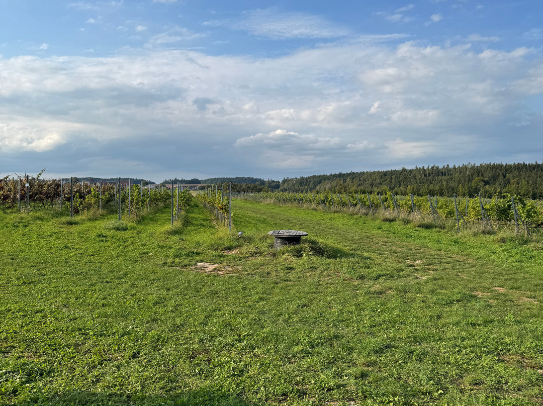 Bleimer Schloss Wein & Sekt