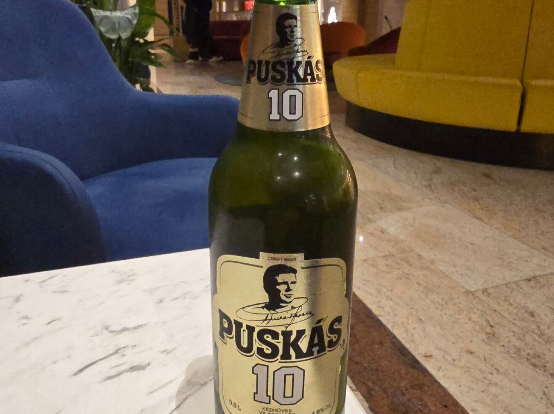 布达佩斯机场酒店主图