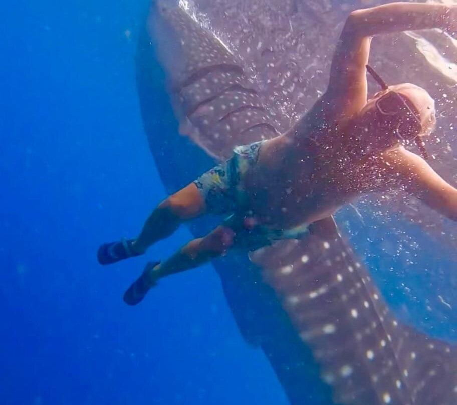 Emoha Dive Resort主图