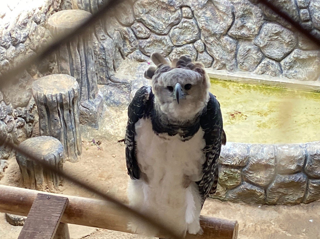 Ecopark Sol e Mar-Maragogi必去景点