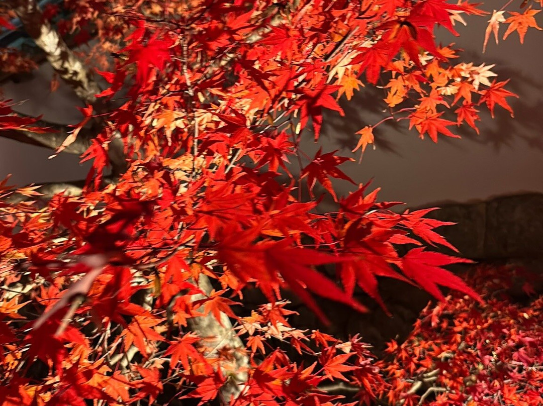 Manganji Temple-川西市必去景点