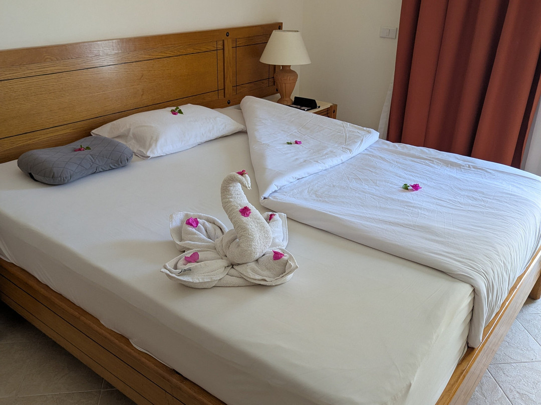 Marsa Alam Tours-马萨阿拉姆必去景点