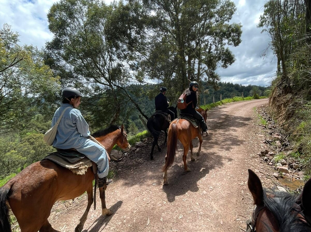 Centro Ecuestre Bellavista-昆卡必去景点