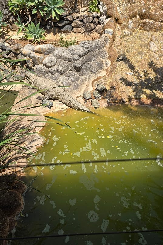 Monkey Park-洛斯克里斯蒂亚诺斯必去景点