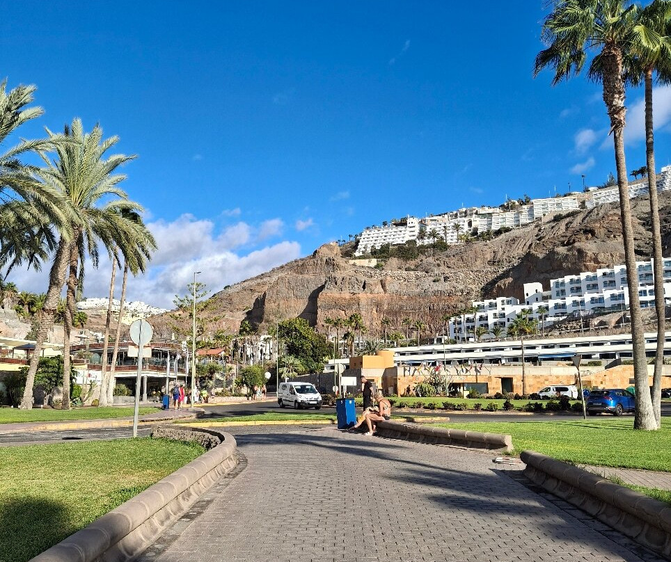 Hotel Terraza Amadores主图