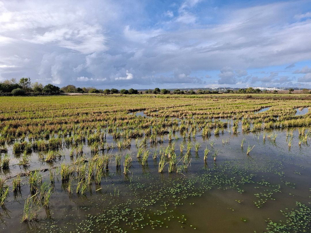 Birding The Strait-塔里法必去景点