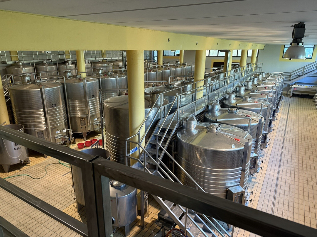 Altesino-蒙塔尔奇诺必去景点