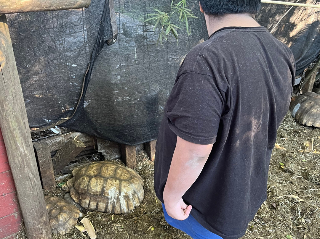 Croc Encounters-坦帕必去景点