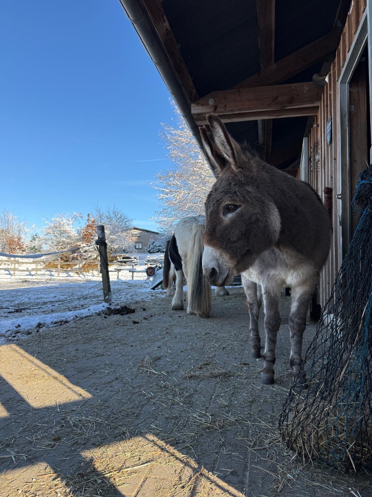 Bergdorf LiebesGrün-官方