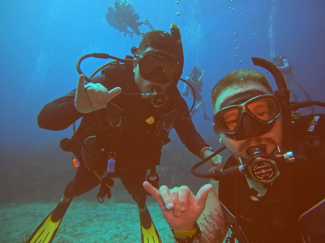 Paradise Scuba & Snorkeling Center-La Parguera必去景点