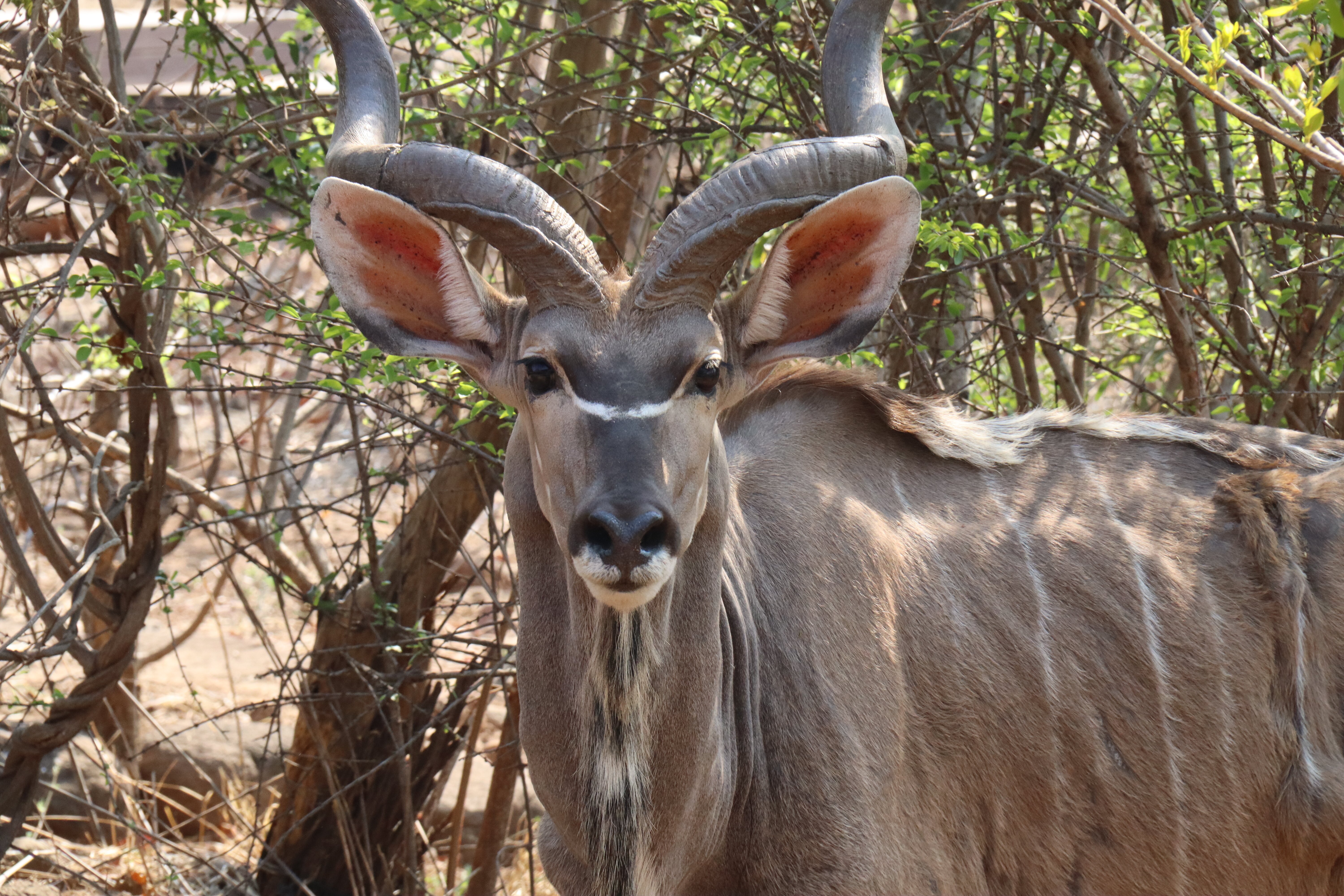 The Wallow Lodge-浴室