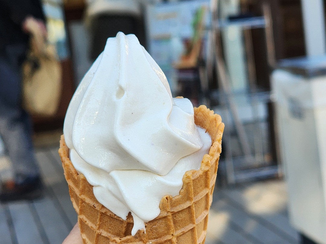 Really Rural Japan-南木曾町必去景点