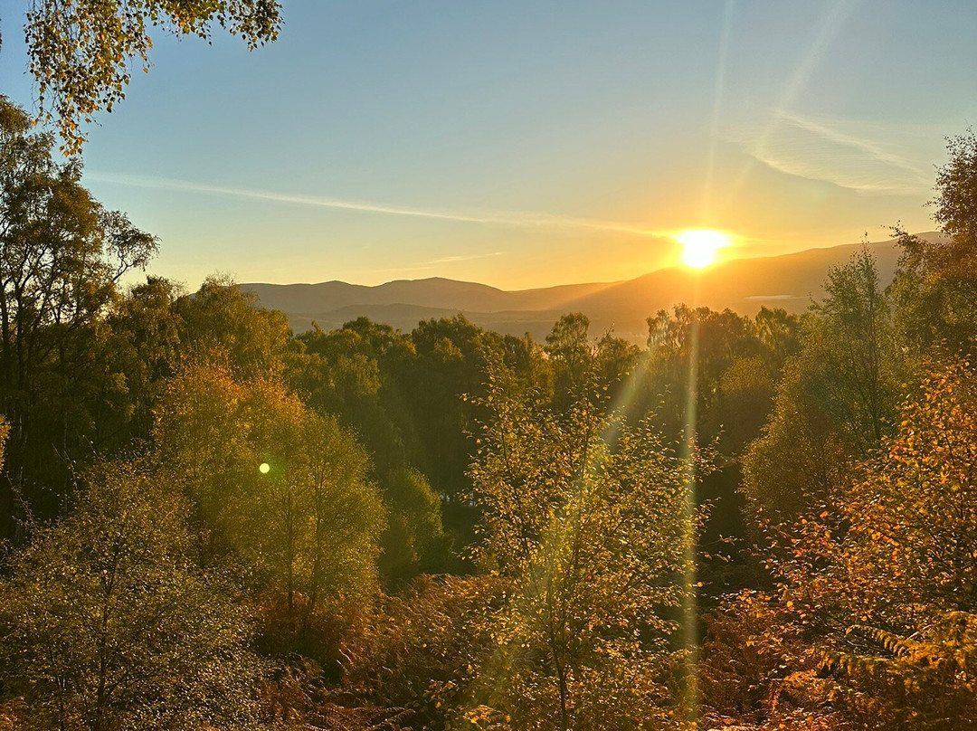 Craigellachie National Nature Reserve-阿维莫尔必去景点