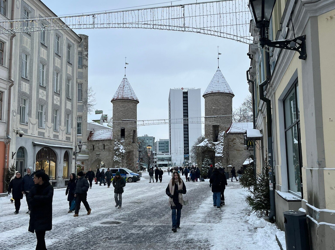 Viru Gates-塔林必去景点