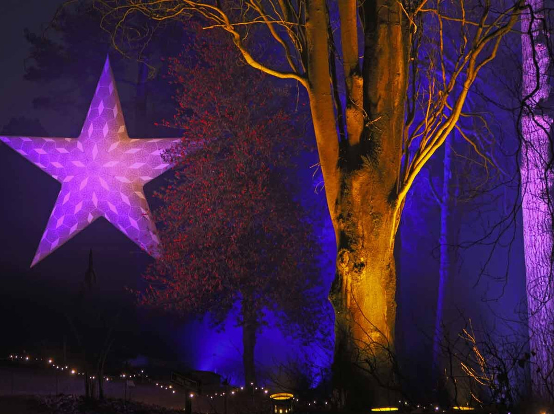 Leonardslee Illuminated-Lower Beeding必去景点