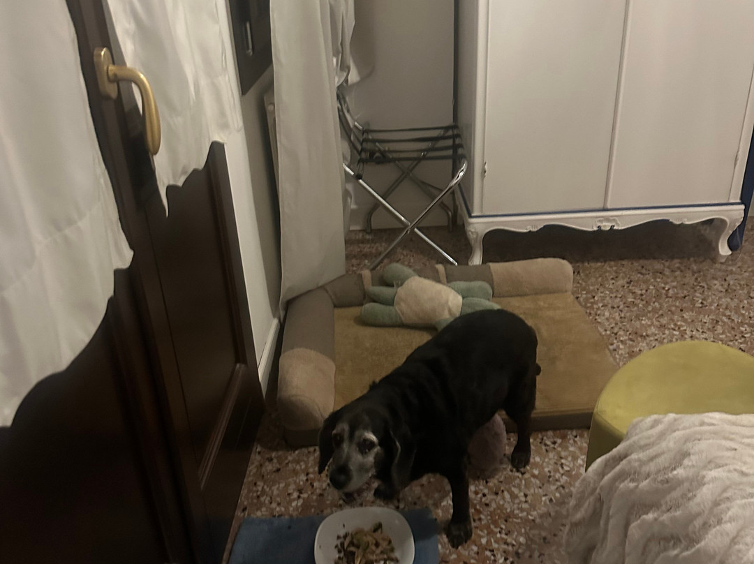 别墅加斯帕里尼酒店主图