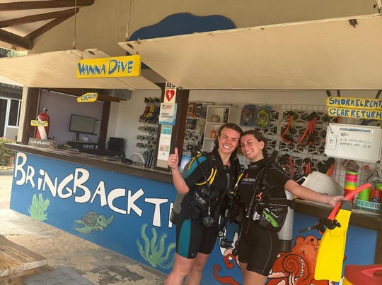 Wannadive Bonaire-Kralendijk必去景点