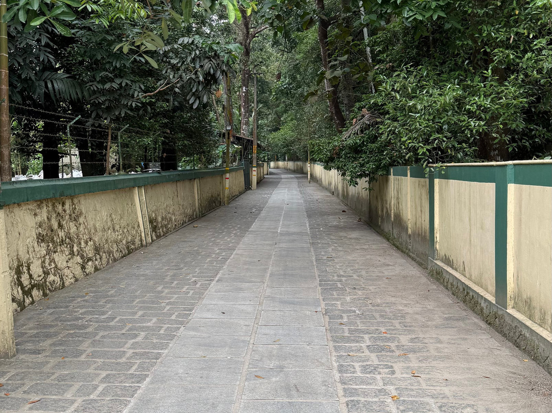 Nagarjuna Ayurvedic Centre-Chelamattom part必去景点