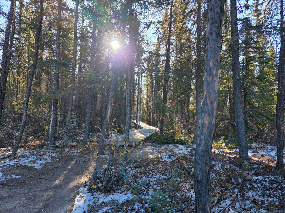 My Backyard Tours-黄刀镇必去景点