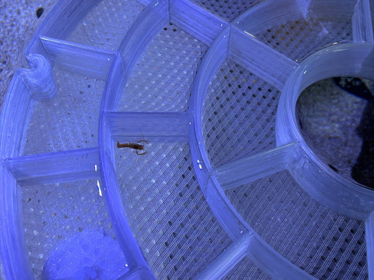 Marine Discovery Centre & Whitby Lobster Hatchery-惠特比必去景点