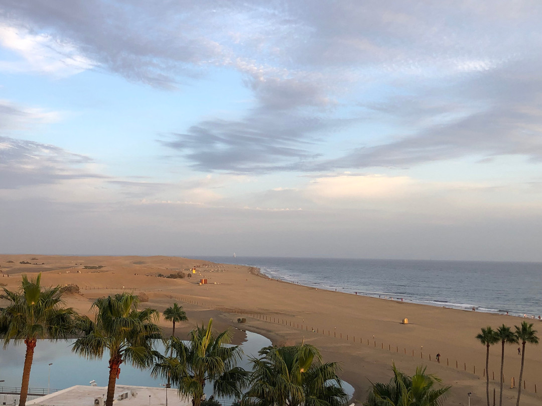 海滨棕榈滩酒店主图