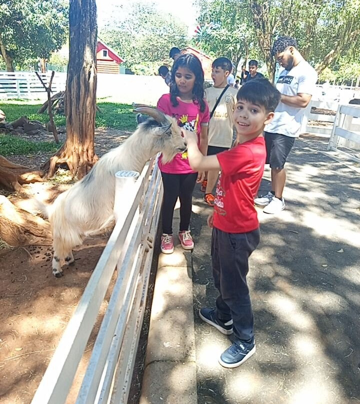 Dreams Park Show-伊瓜苏必去景点