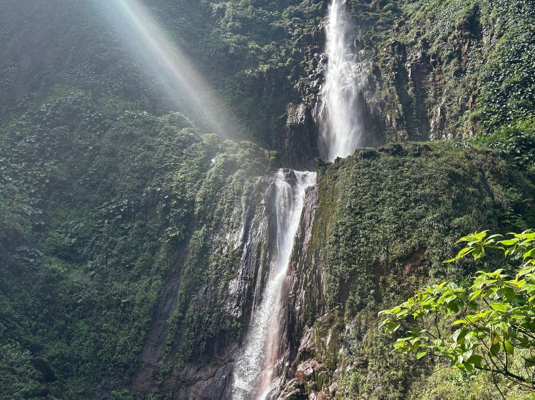 Carbet Falls (Les Chutes du Carbet)-Parc National必去景点