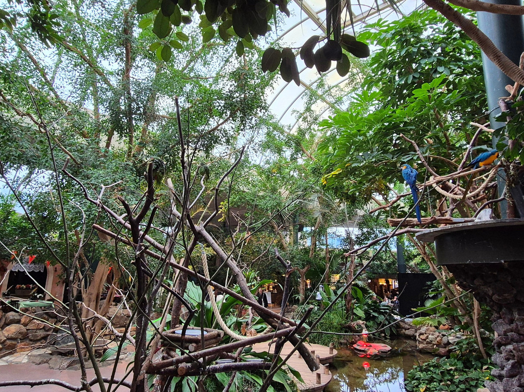 Center Parcs Het Meerdal主图