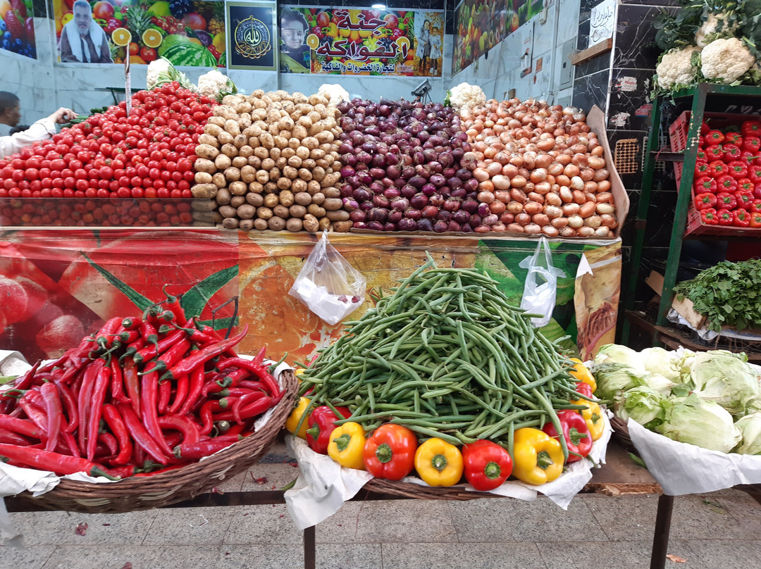 Erlebnis Ägypten-Safaga必去景点