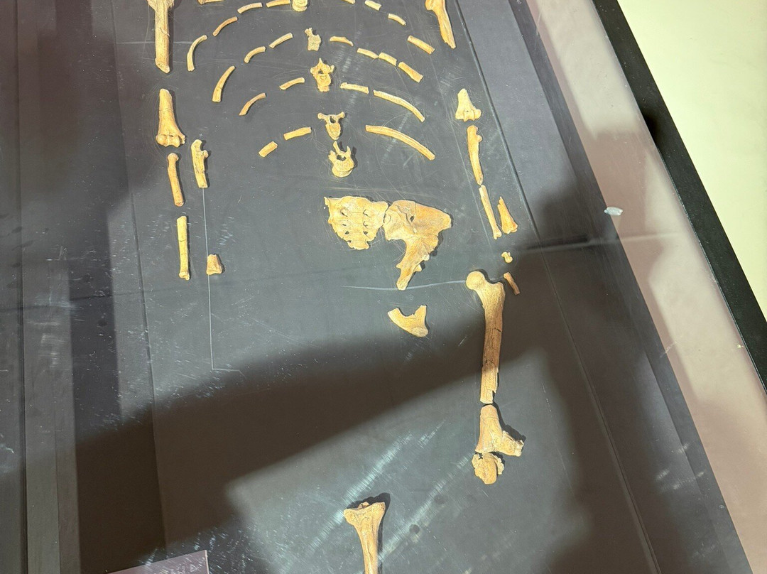 Awaze Tours-亚的斯亚贝巴必去景点