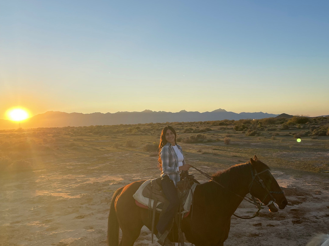 KOLI Equestrian Center-钱德勒必去景点