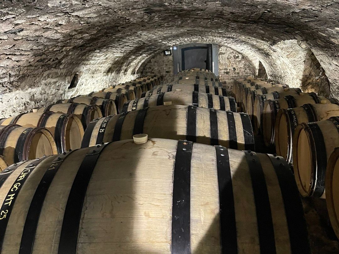 Vititours-Chablis必去景点