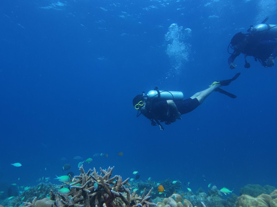 Turquoise Dream | PADI Dive Centre-Neil Island必去景点