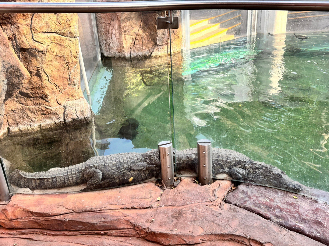 Acuario Michin Guadalajara-瓜达拉哈拉必去景点