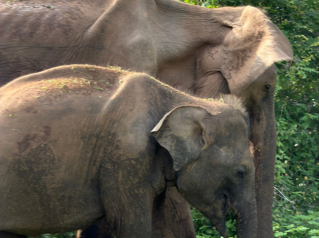 One & Only Travels-Kurunegala必去景点