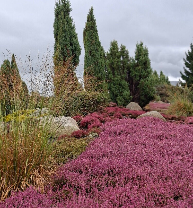 Lausitzer Findlingspark Nochten-Boxberg必去景点