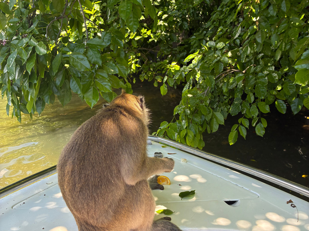Belinda Boat Tour-贝尔马尔必去景点
