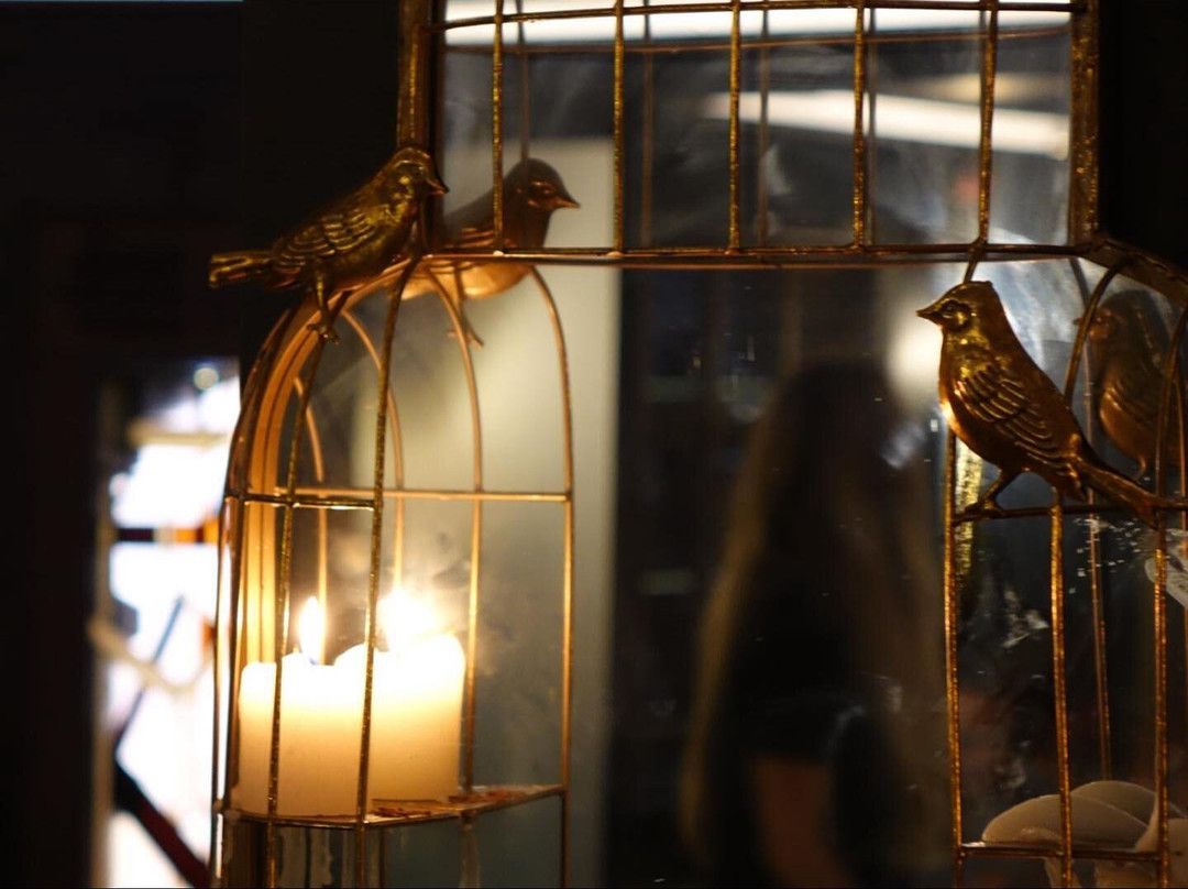 Suckerpunch St Albans-圣奥尔本斯必去景点