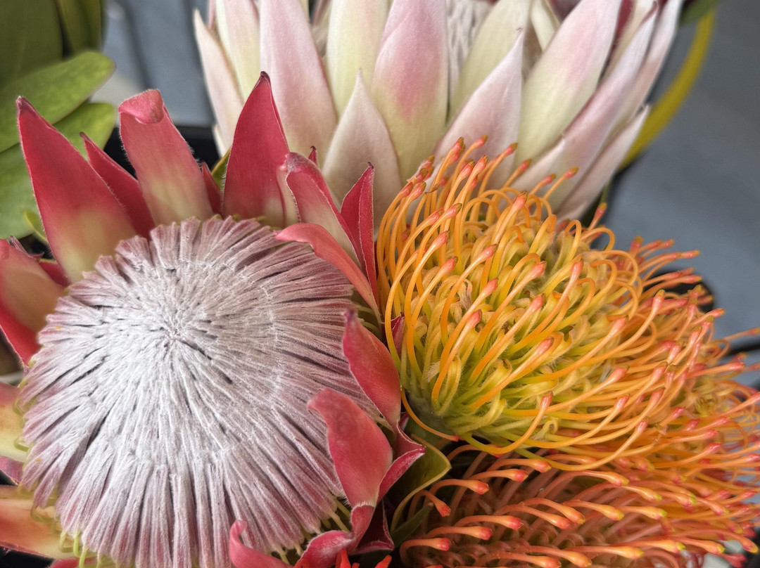 Rainbow's End Wine Estate-斯泰伦博斯必去景点