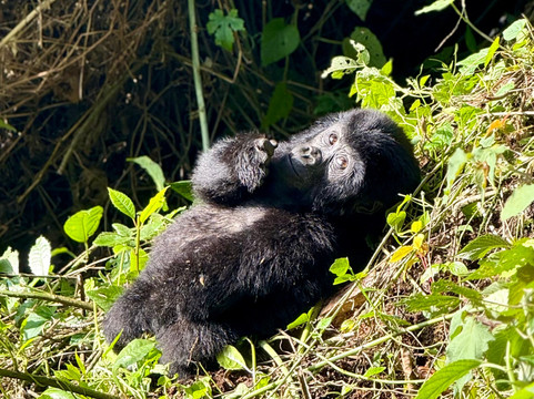 Salt Holidays-坎帕拉必去景点