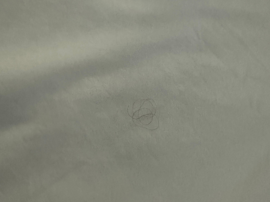 Suburban Studios LaVale - Cumberland主图