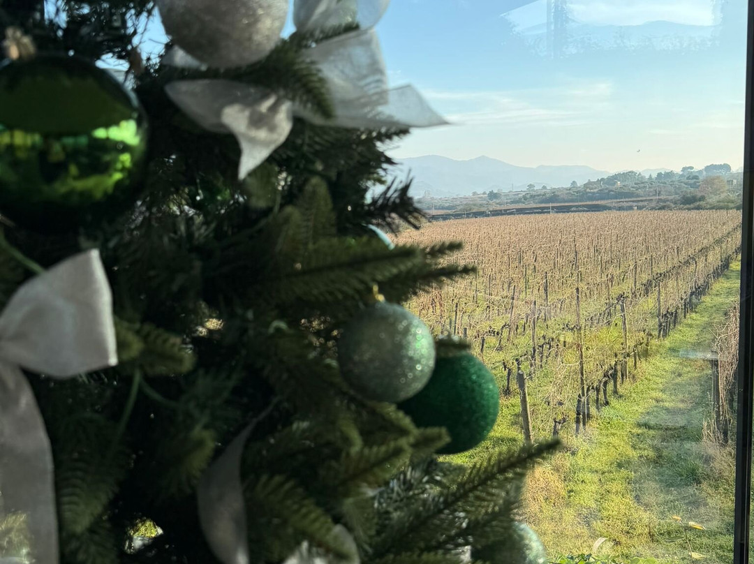 Dimora Cottanera主图