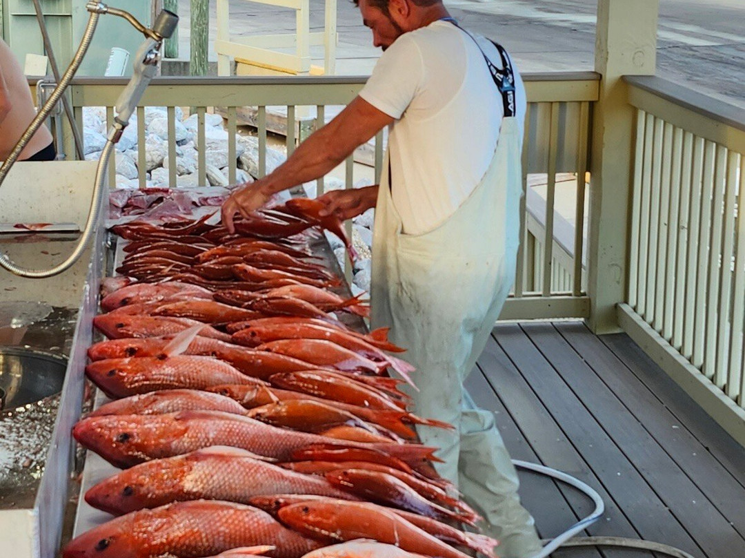 Gotcha Fishing Charters-彭萨科拉必去景点