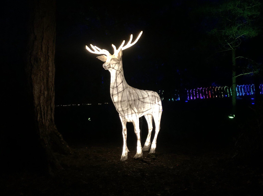 Leonardslee Illuminated-Lower Beeding必去景点