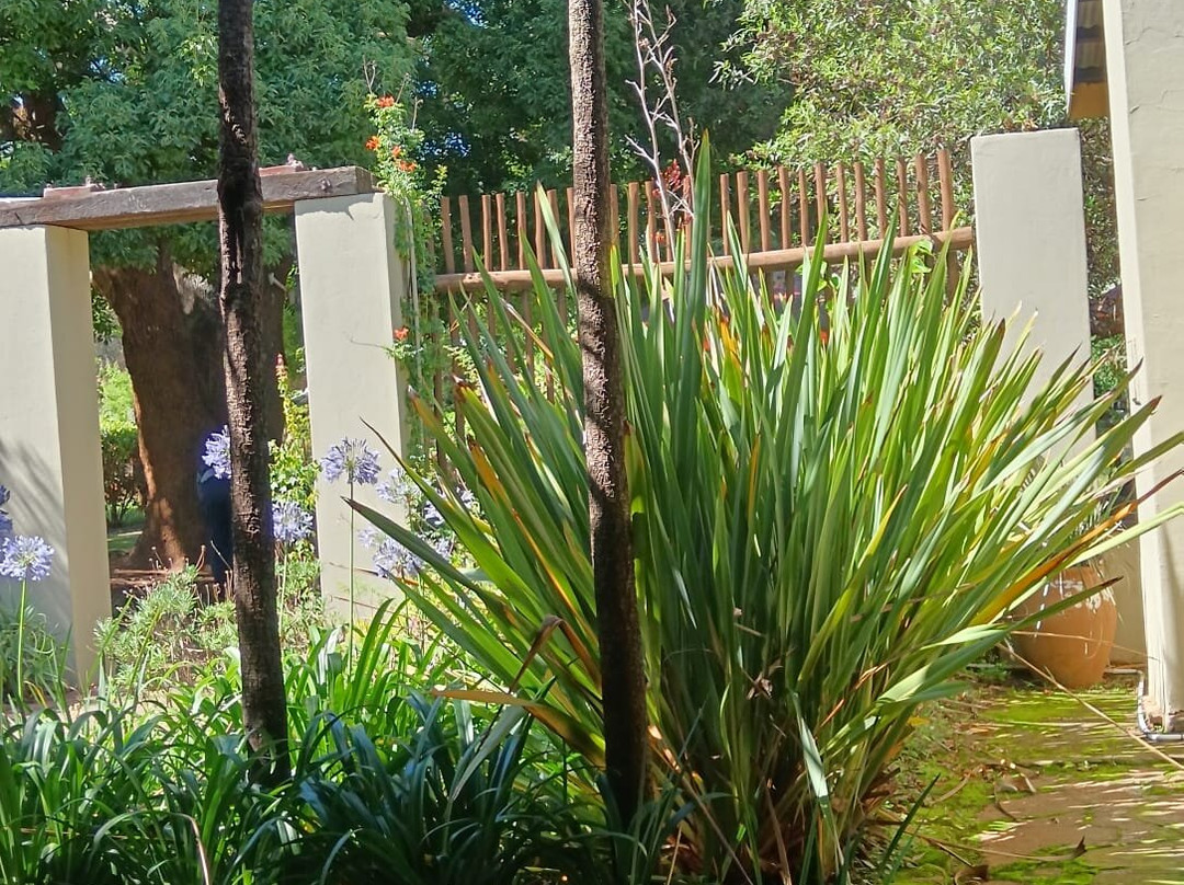 Aqua Terra Guest House主图