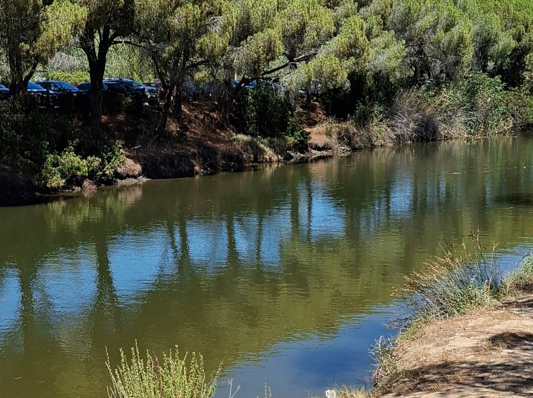 Stagno Petrosu-奥罗塞必去景点